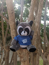Load image into Gallery viewer, Ridge the Raccoon