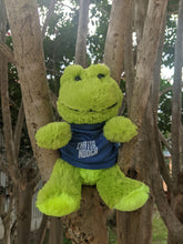 Load image into Gallery viewer, Frazier Frog Souvenir toy green