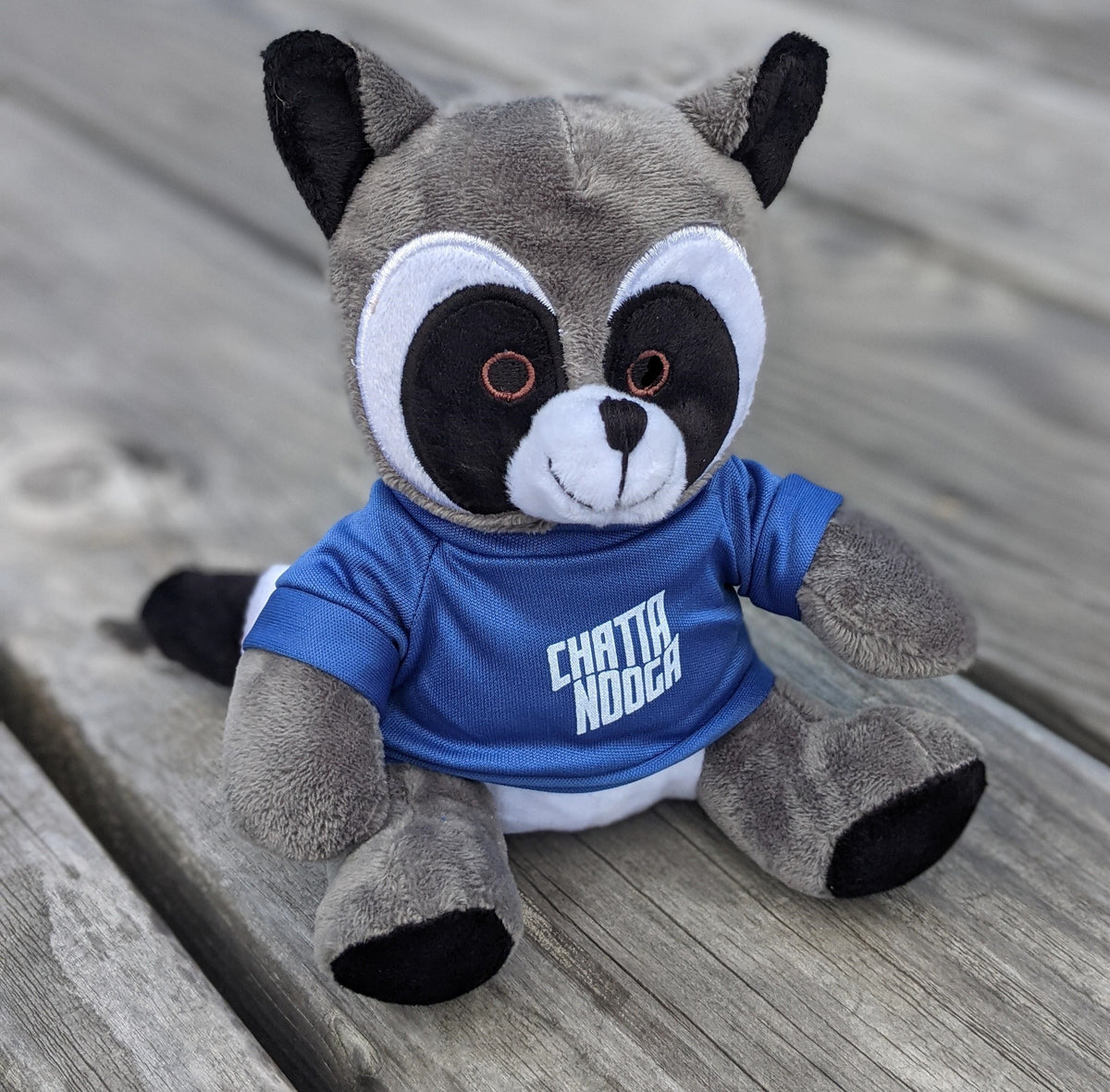 blue raccoon stuffed animal