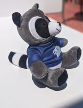Load image into Gallery viewer, Chattanooga Raccoon Ridgecut toy souvenir kids
