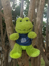 Load image into Gallery viewer, Frazier Frog Souvenir toy green
